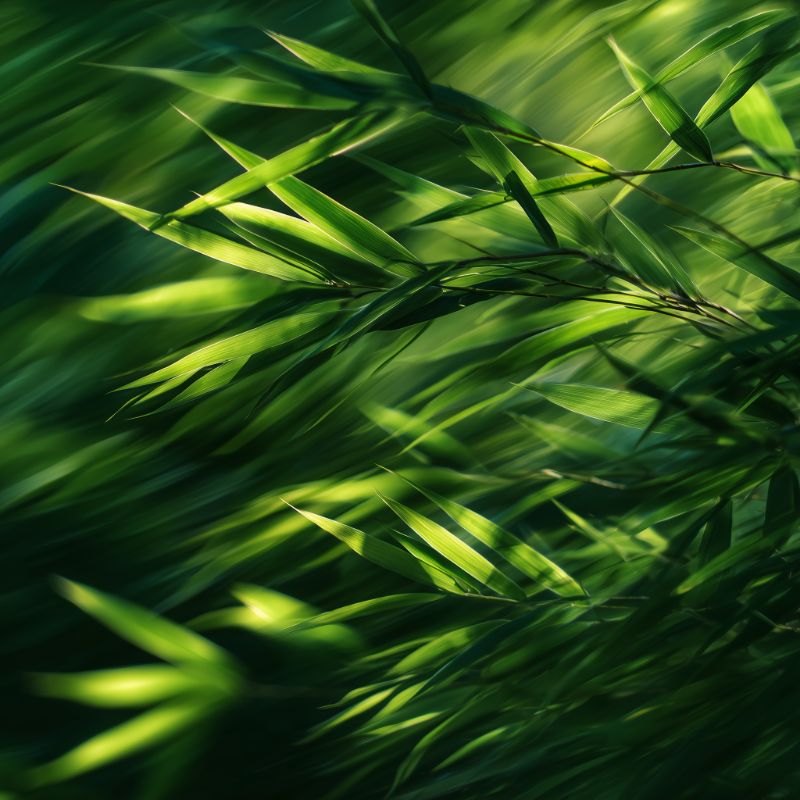 Abstract motion blur of bamboo leaves